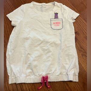 Lands end Llama shirt